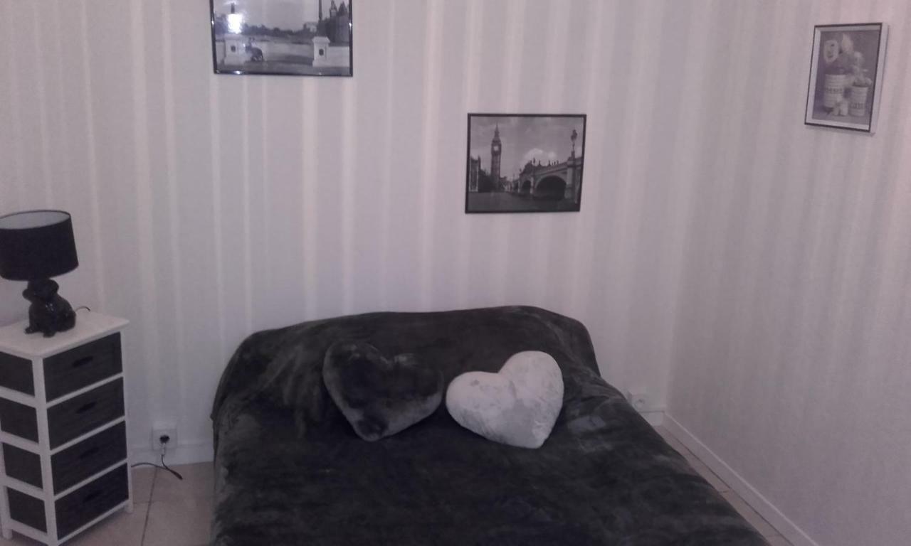 Chez Zazouilles Apartman Pau Kültér fotó